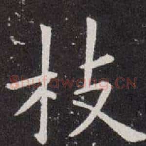 枝