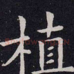 植