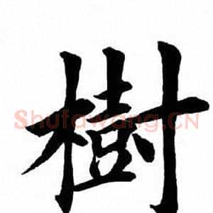 树