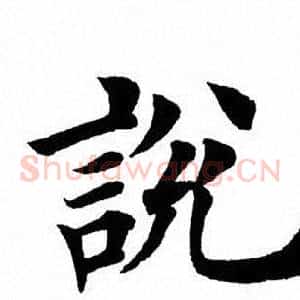 说