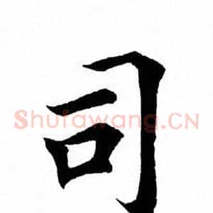 司