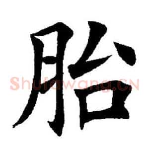 胎