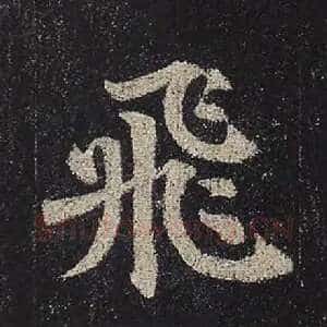 飞