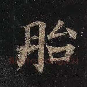 胎