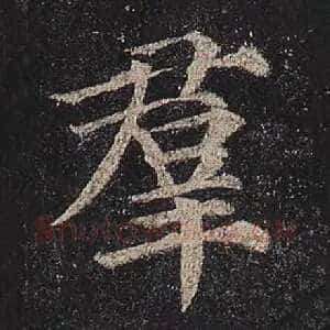 群