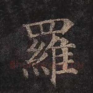 罗