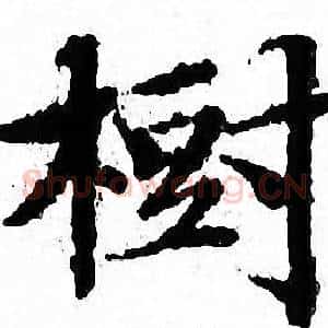 樹