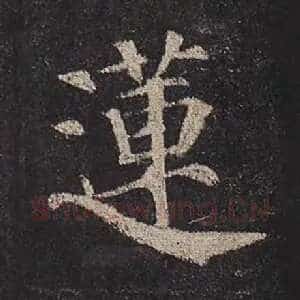 莲