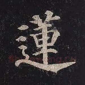莲