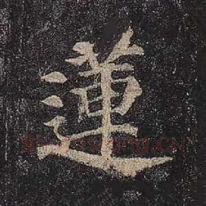 莲
