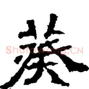 葵
