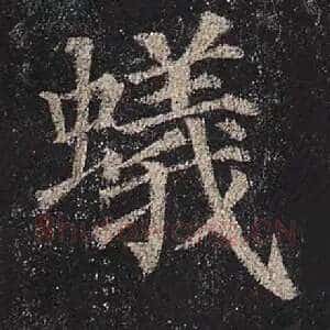 蚁
