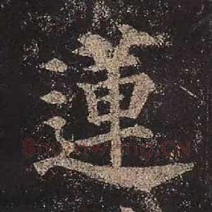 莲