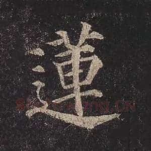 莲