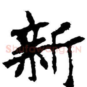 新