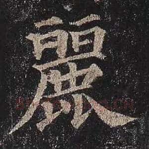 丽