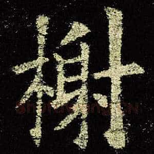 谢