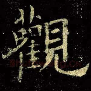 观