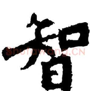 智