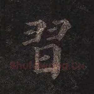 习