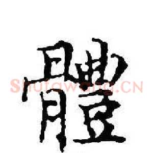 體