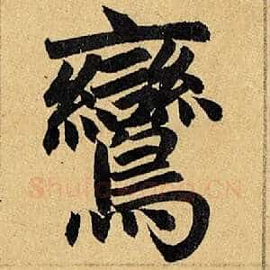 鸾