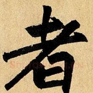 者