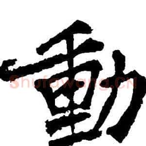 动