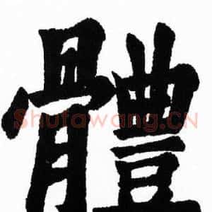 體