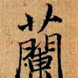 蘭
