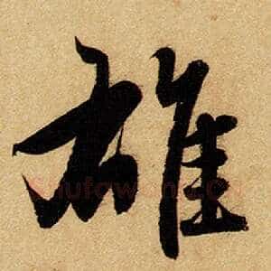 雄