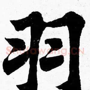 羽