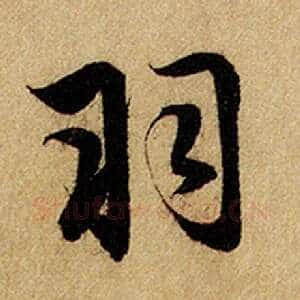 羽