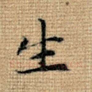 生