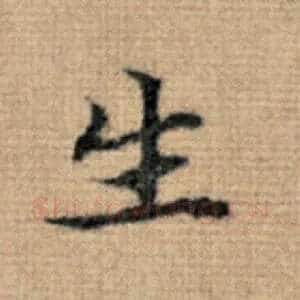 生