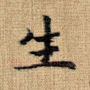 生