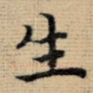 生