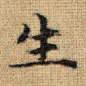 生