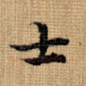 士