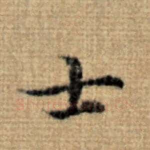 士