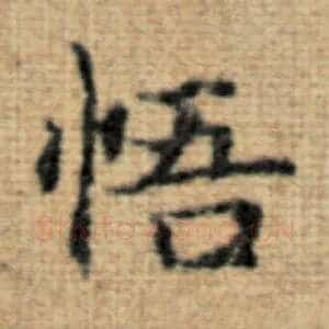 悟