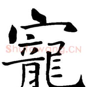 宠