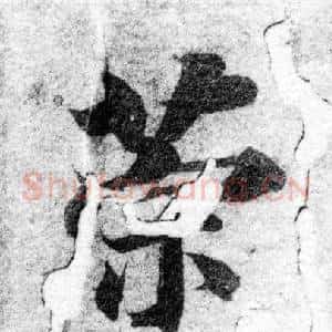 策