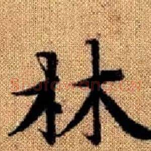 林
