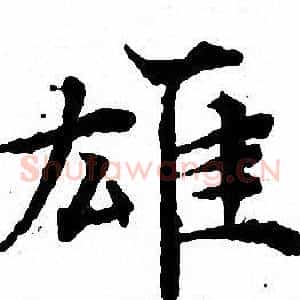 雄