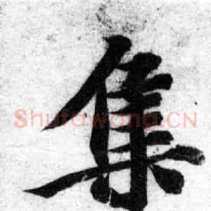 集