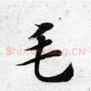 毛