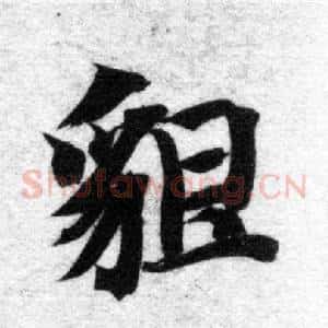 貌