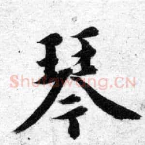 琴