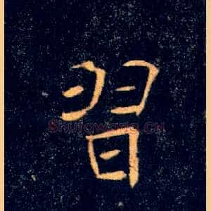 習